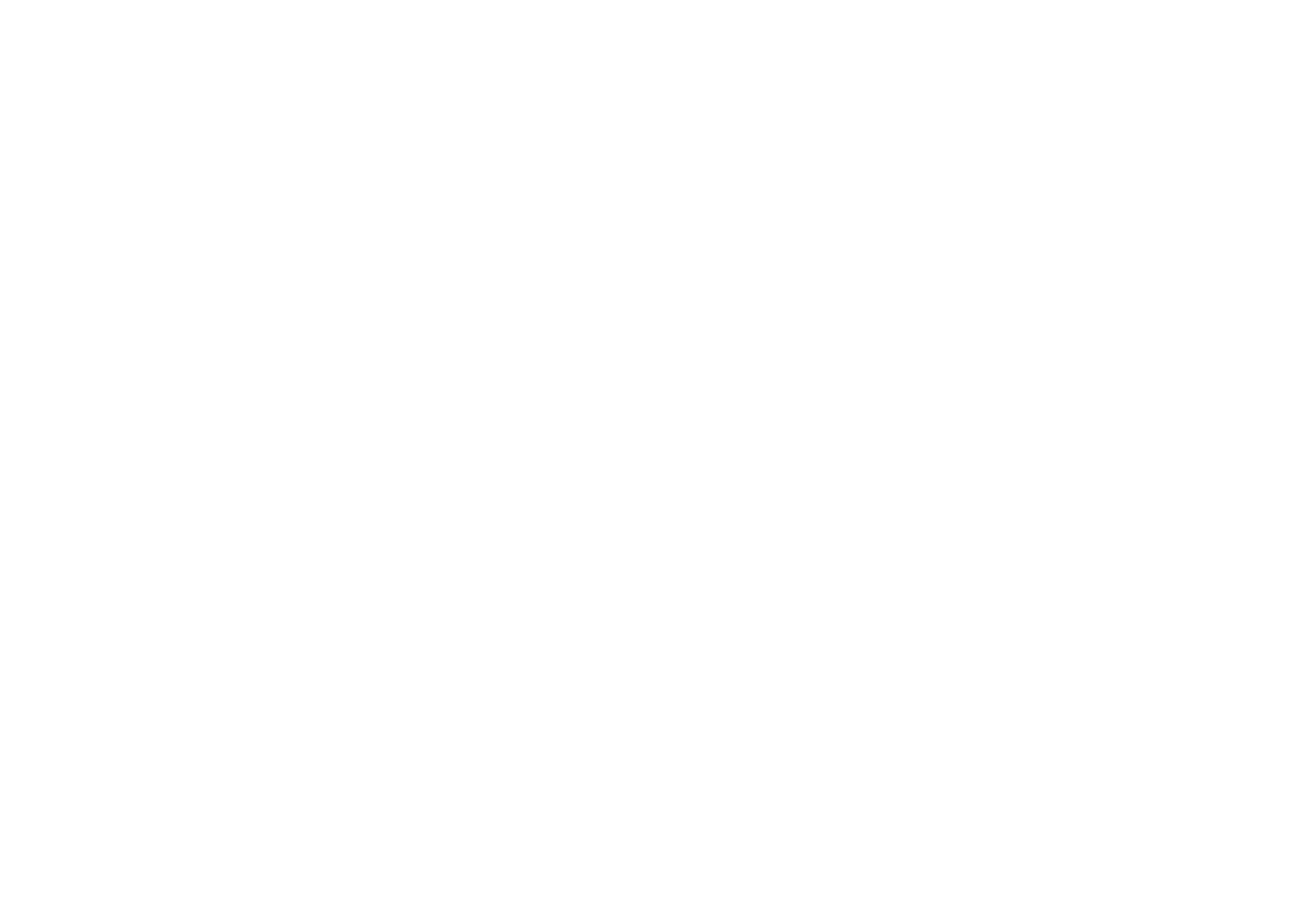 Werkstatt Management System Logo